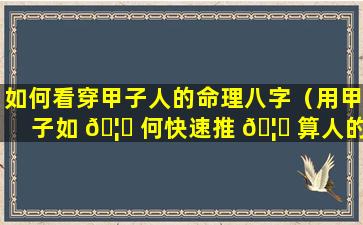 如何看穿甲子人的命理八字（用甲子如 🦍 何快速推 🦅 算人的岁数）